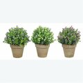 Youngs Artificial Flowers in Planter - 3 Assorted 12610